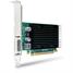 HP NVIDIA Quadro NVS 300 - graphics card - Quadro NVS 300 - 512 MB BV456AT